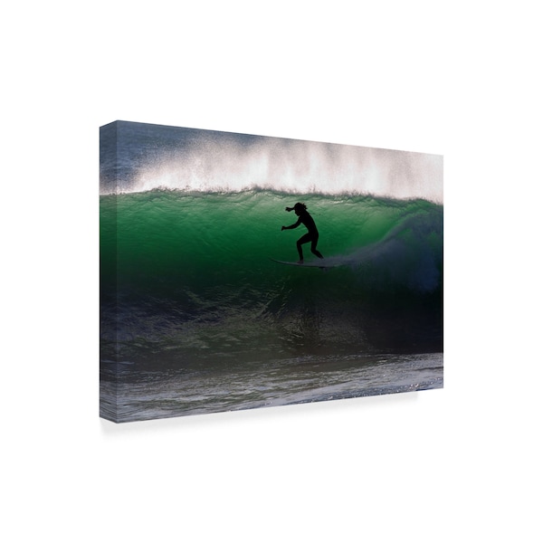 Fabio Palmerini 'Surfer And Green Wave' Canvas Art,16x24